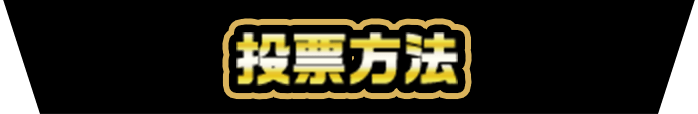 投票方法
